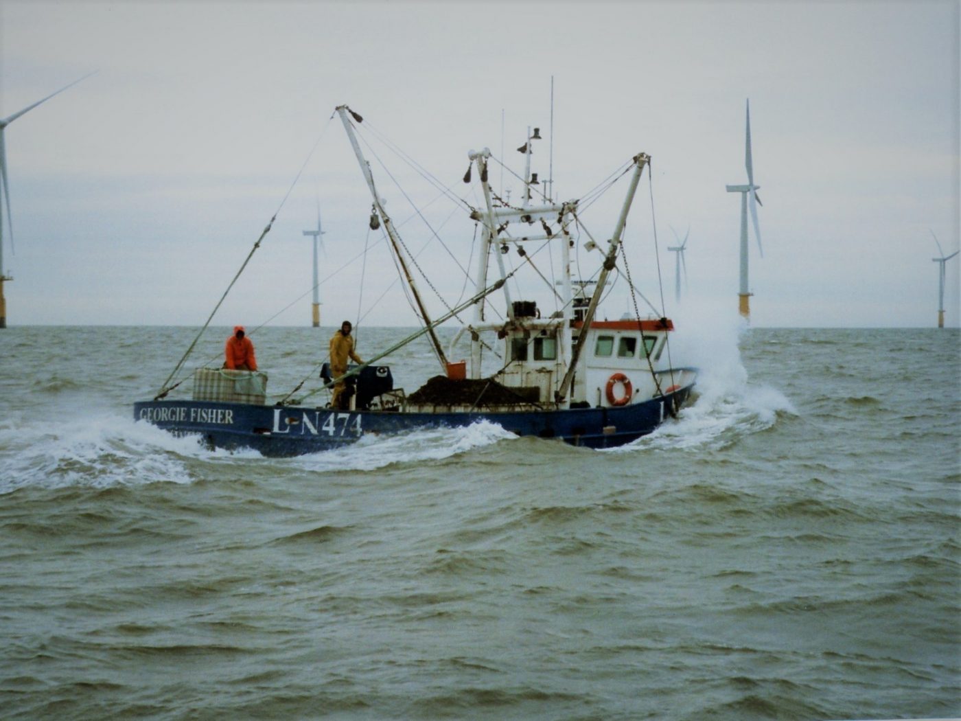 Can Fisheries Co-exist with Offshore Wind in the Race to Carbon